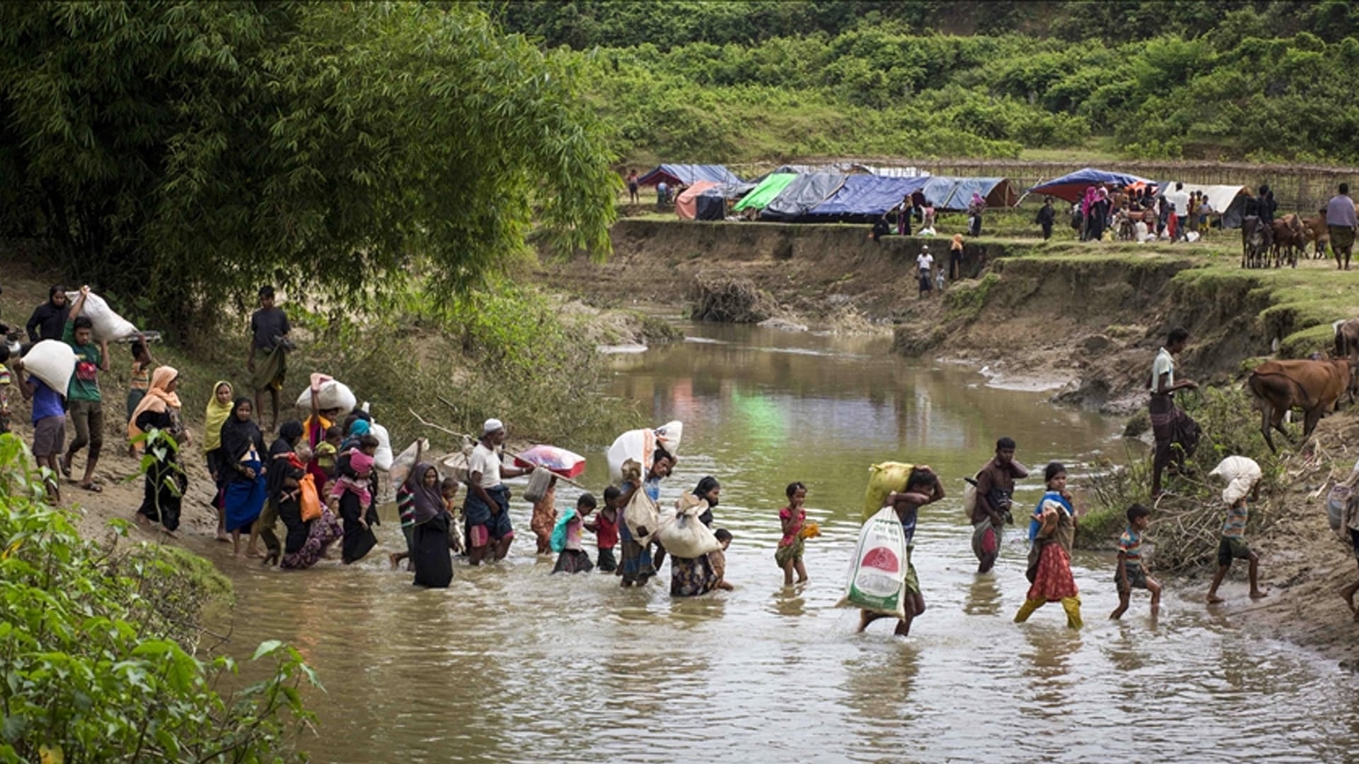 Rohingya-Refugees