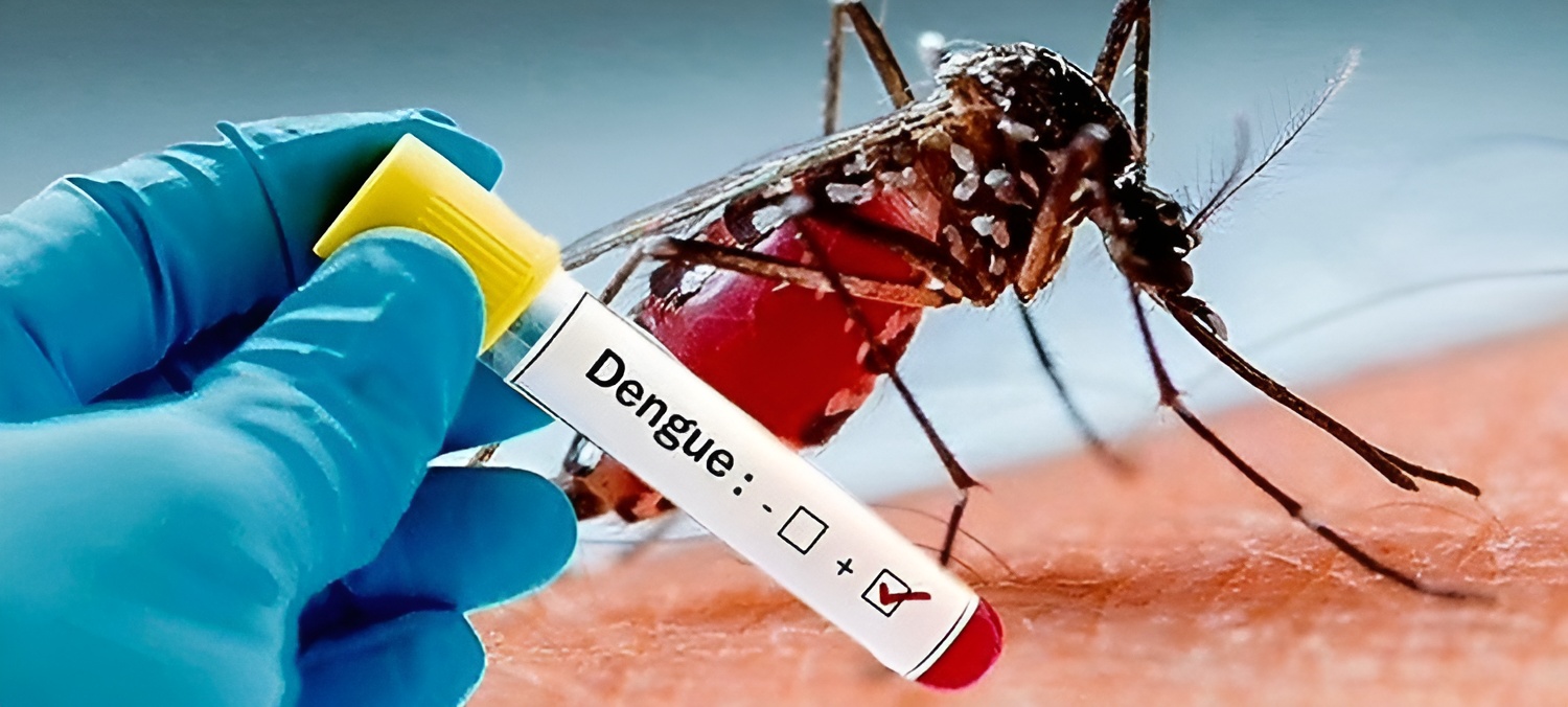 ডেঙ্গুতে নতুন আক্রান্ত ৩৯৬ মৃত্যু ২