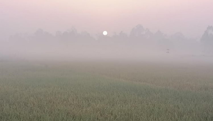 তাপমাত্রা 