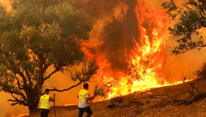 আলজেরিয়াতে ভয়াবহ দাবানল