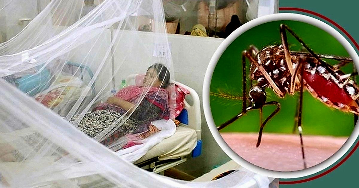 ডেঙ্গুতে ৪ জনের মৃত্যু 