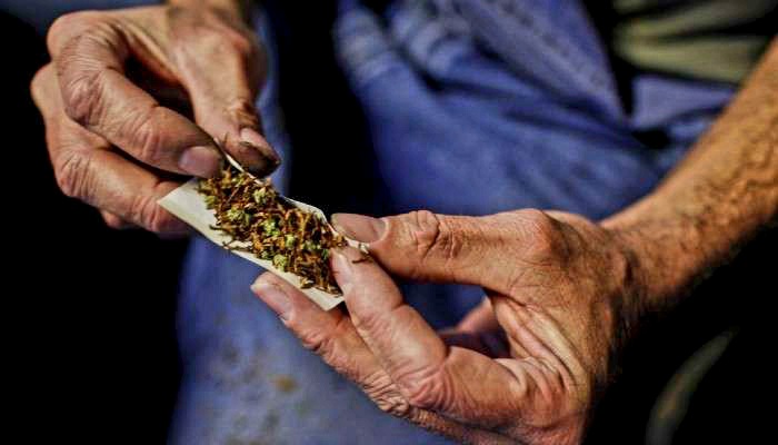 টাঙ্গাইলে র‍্যাবের বিশেষ অভিযানে বিপুল পরিমাণে গাঁজা উদ্ধার