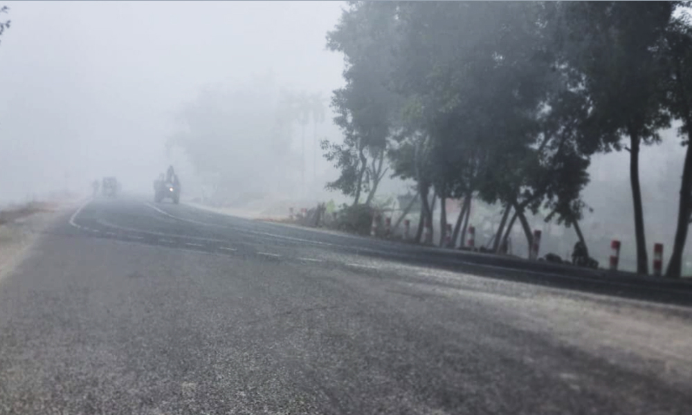 শৈত্যপ্রবাহে