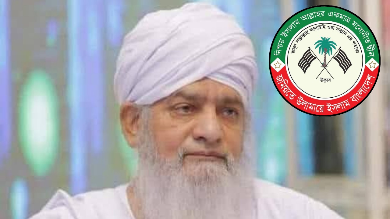 পীর জুলফিকার নকশবন্দী