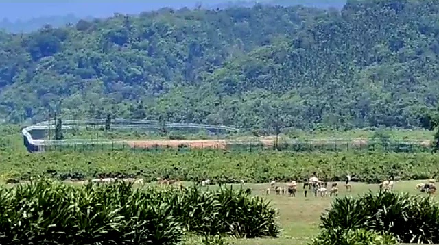 সিলেট সীমান্তে ভারতীয় খাসিয়াদের গুলি, নিহত ২