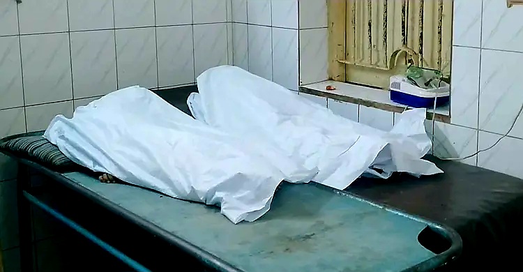 রাজবাড়ীতে ট্রাকের ধাক্কায় নিহত ২