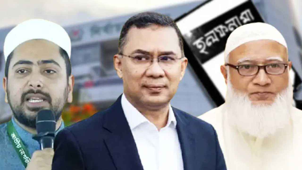 নতুন জরিপ