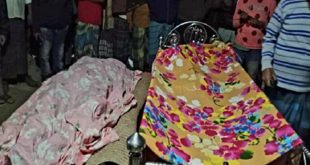 বিদ্যুৎপৃষ্টে মা ও ছেলের মৃত্যু