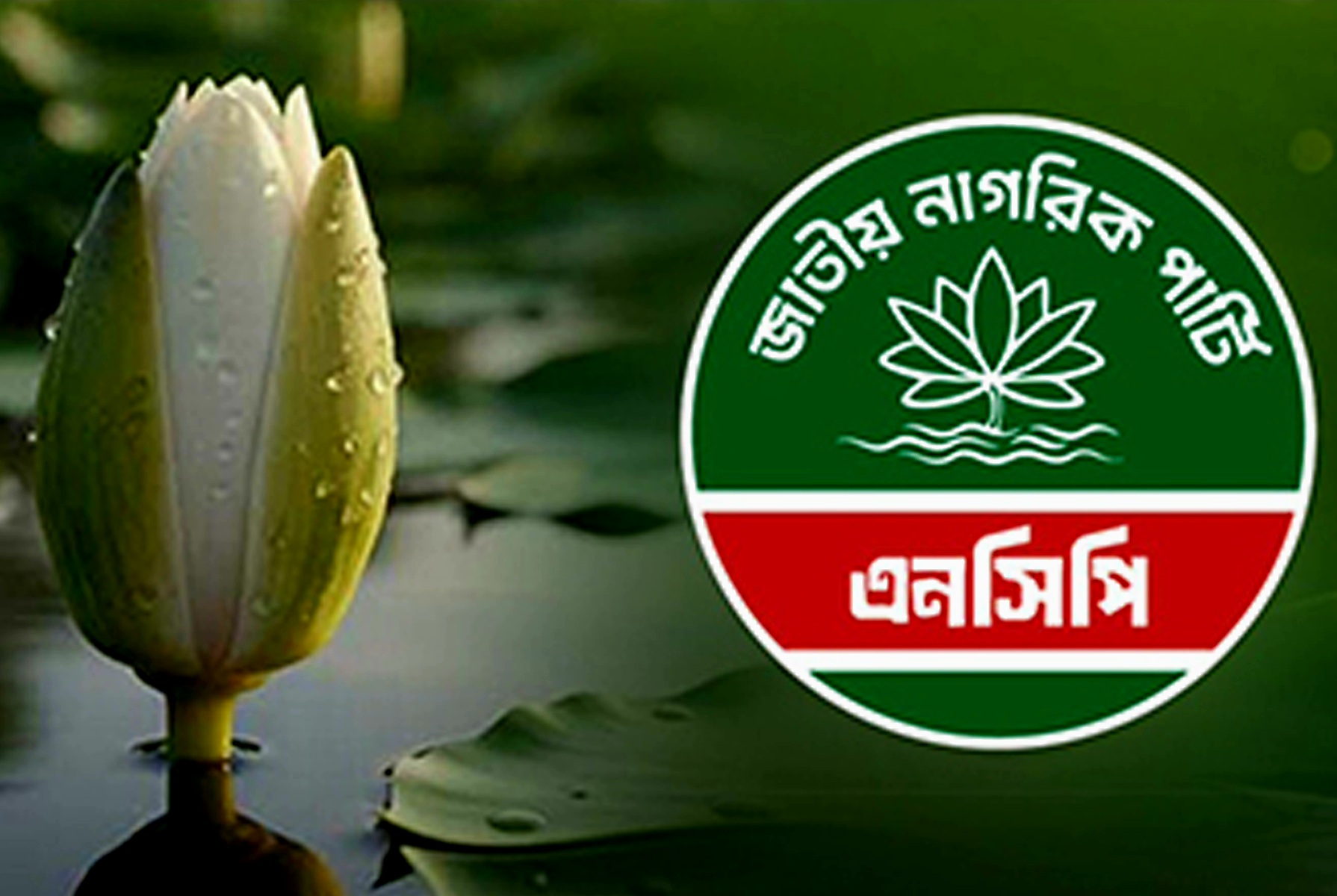 আজ এনসিপির প্রার্থী ঘোষণা 