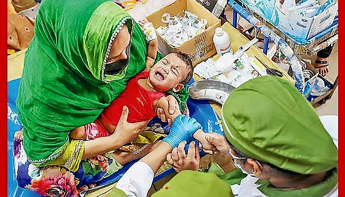 হামে একদিনে নিহত ১২ 