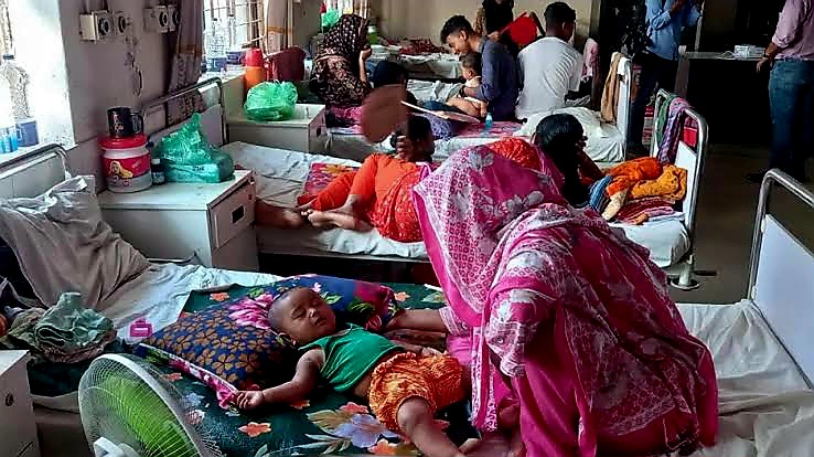 হামে ৭ জনের মৃত্যু