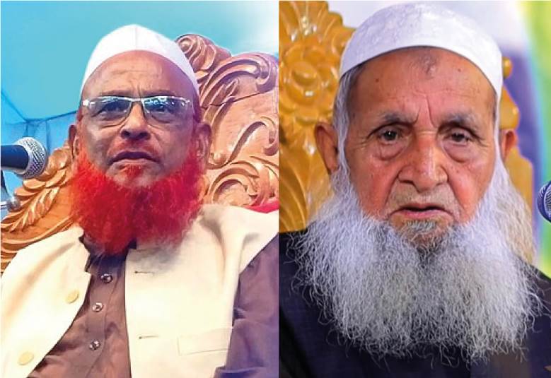 ওলিপুরী ও বাবুনগরী।  ছবি: সংগৃহীত